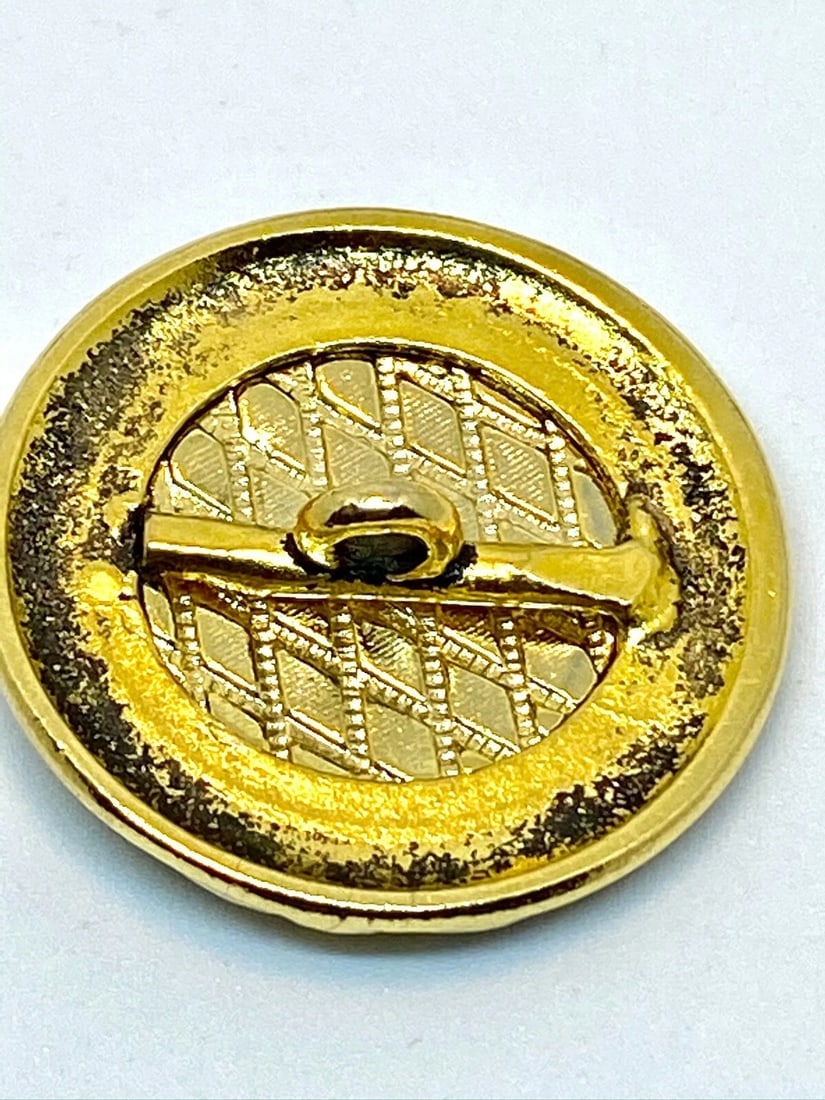 Versace Vintage Medusa Head Shank Button with Brown color lacquer and border - 4