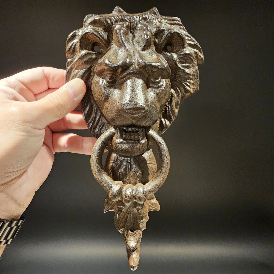 Cast Iron Lion Door Knocker w Hook - 15