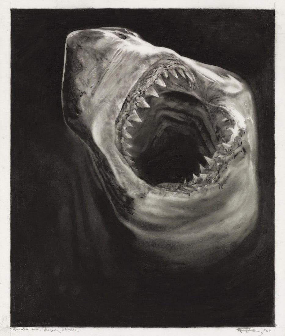 ROBERT LONGO RAGING SHARK PRINT: Title: ROBERT LONGO RAGING SHARK PRINT Description: Robert Longo Raging Shark Print measuring at 19x24 inches Dimensions: 19x24" Reserve: $60.00 Shipping: Domestic: Flat-rate of $35.00 to anywhere wit