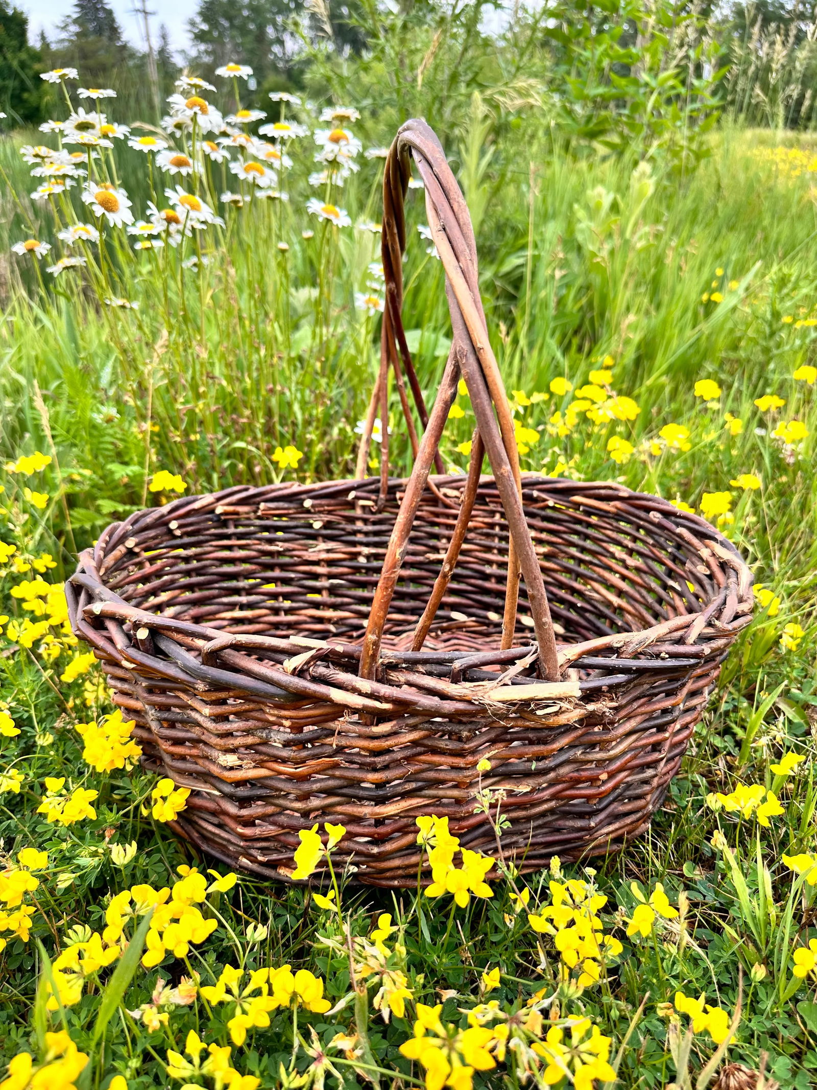 1970s Dark Willow Gathering Basket - 7
