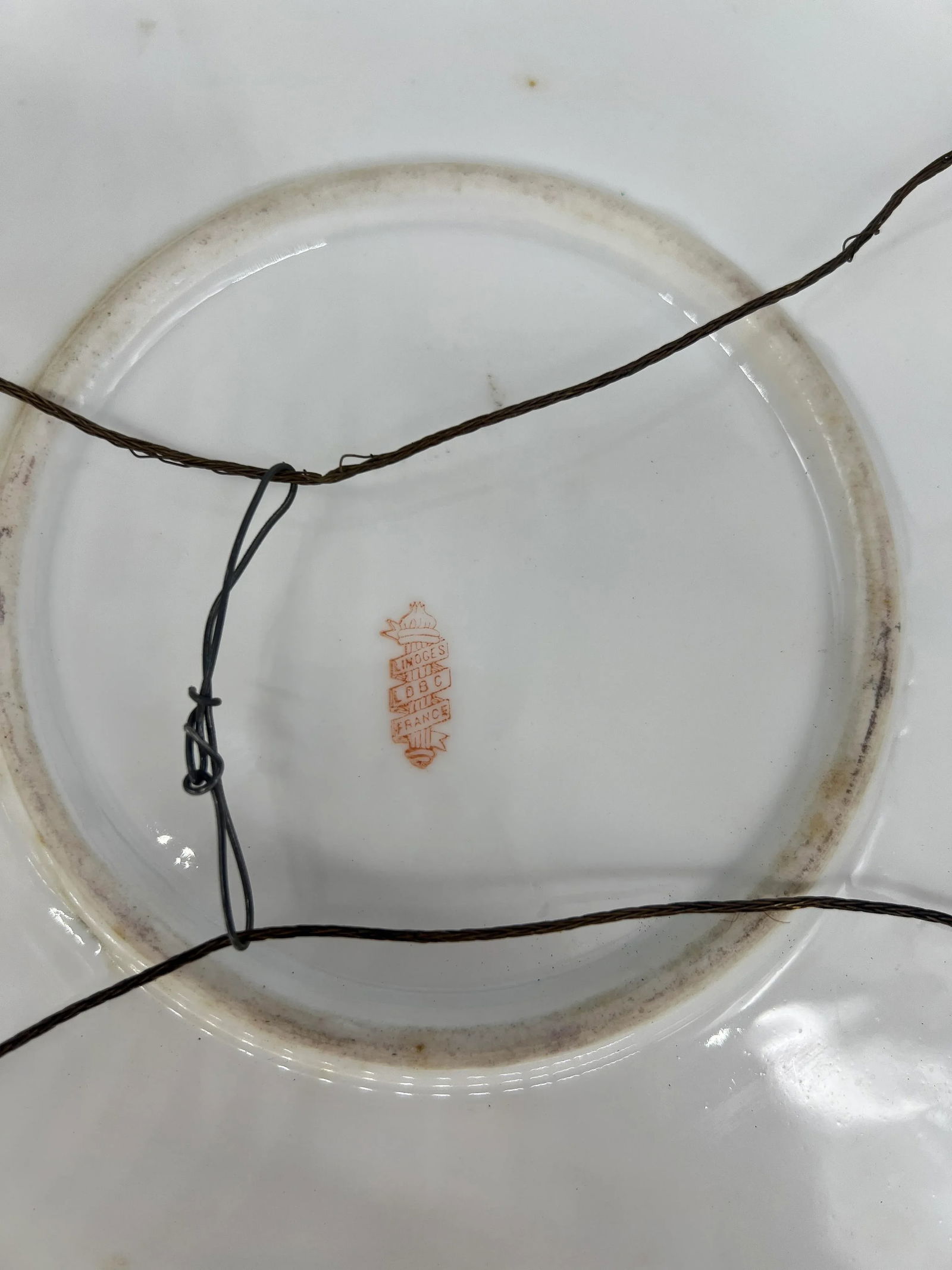 Large Antique Limoges Hand Painted Holy Fruit Porcelain Platter Signed Dubois - 9