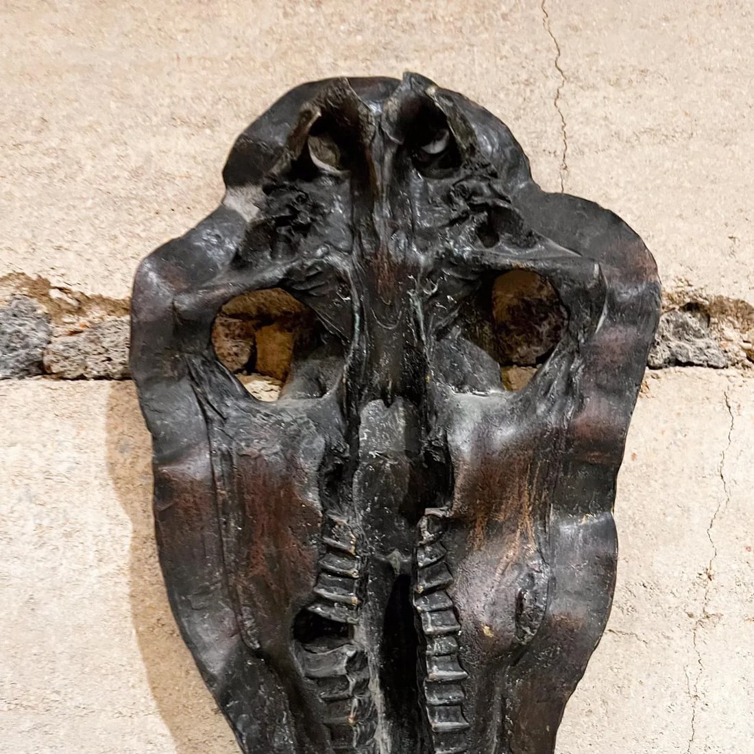 1980s Hippopotamus Head Bronze Skull Sculpture After Giacometti - 2