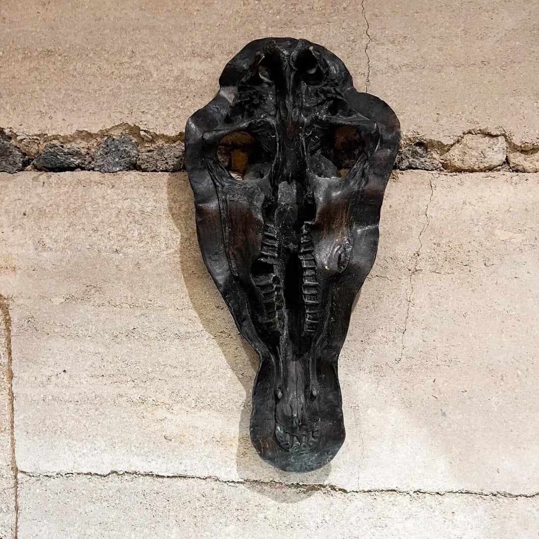 1980s Hippopotamus Head Bronze Skull Sculpture After Giacometti - 5