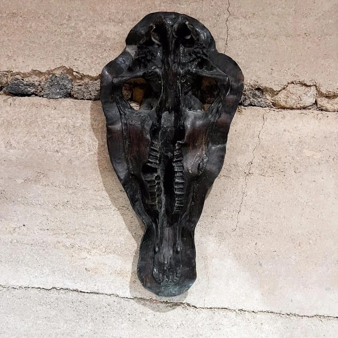 1980s Hippopotamus Head Bronze Skull Sculpture After Giacometti - 7