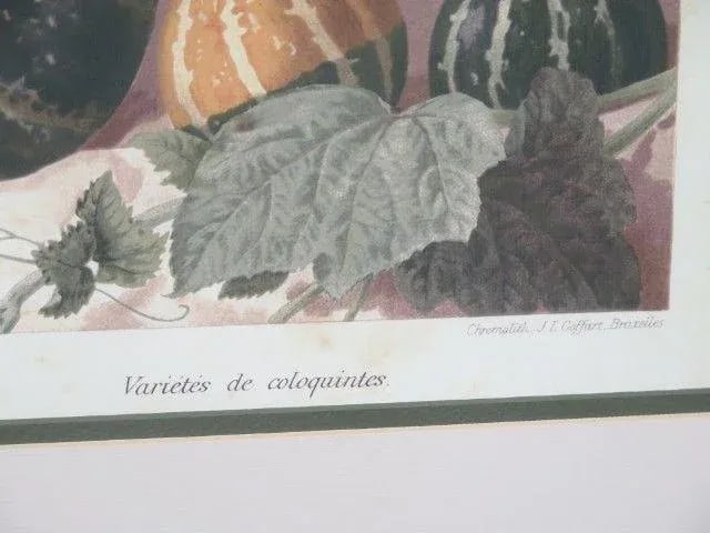 W. King Ambler Decorative Framed Fruit Prints - a Pair - 4