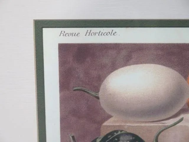 W. King Ambler Decorative Framed Fruit Prints - a Pair - 5