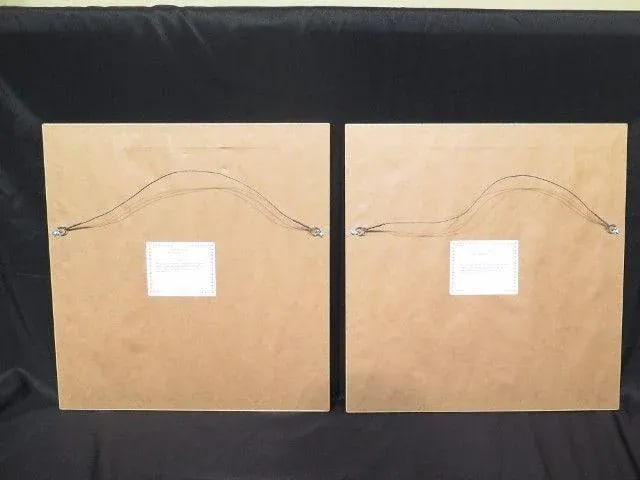 W. King Ambler Decorative Framed Fruit Prints - a Pair - 6