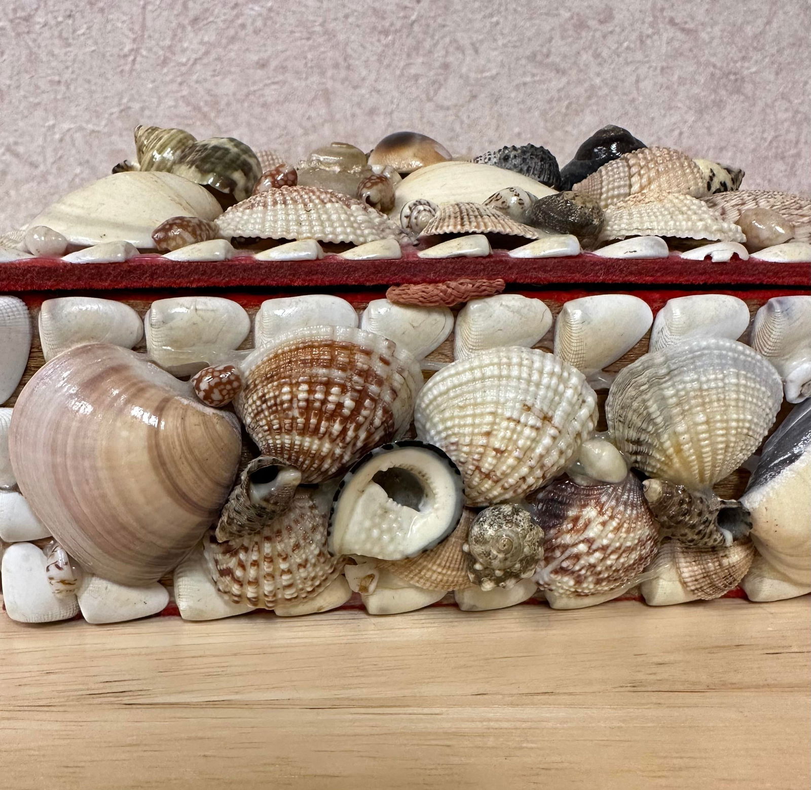 Mid 20th Century Natural Seashell Encrusted Box Red Lining - 3