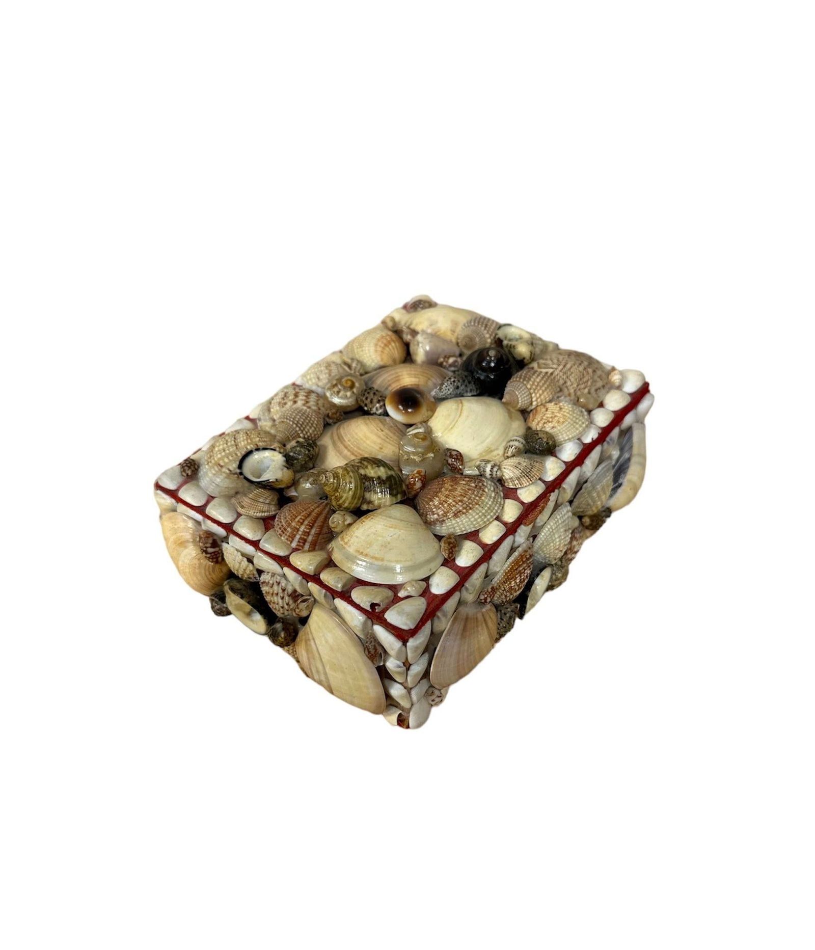 Mid 20th Century Natural Seashell Encrusted Box Red Lining - 5
