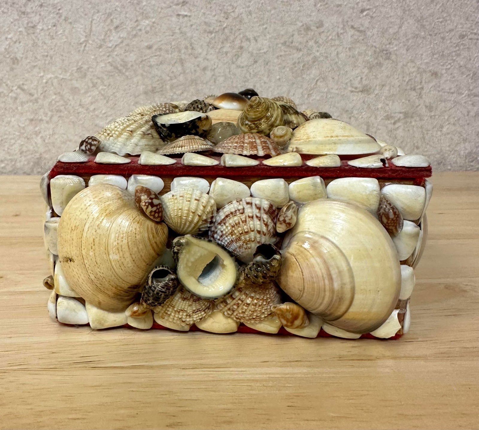 Mid 20th Century Natural Seashell Encrusted Box Red Lining - 6