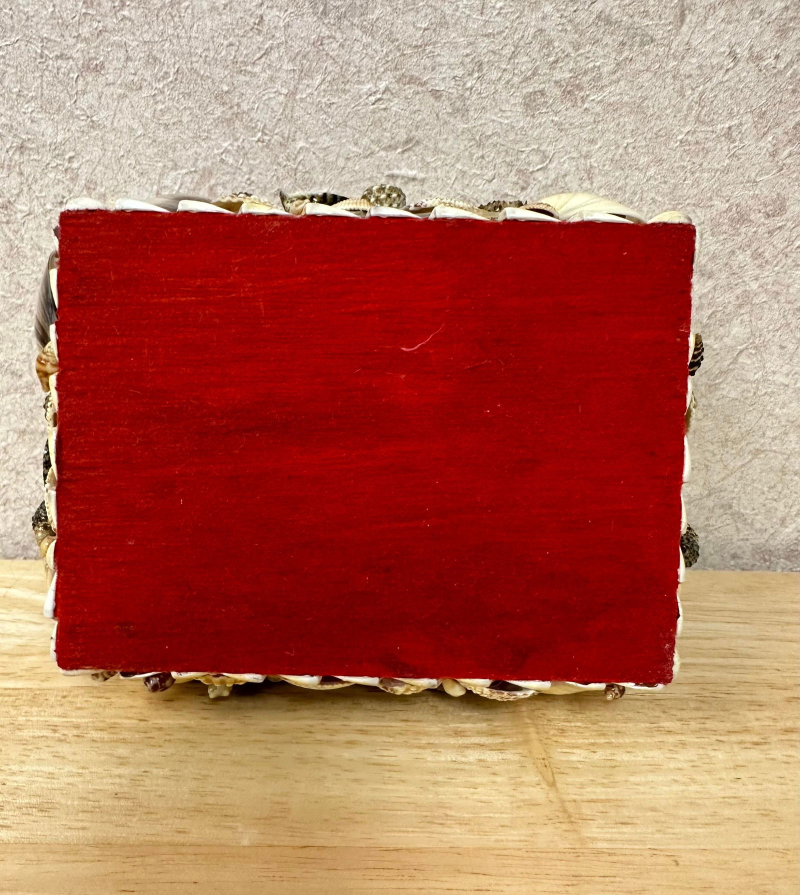 Mid 20th Century Natural Seashell Encrusted Box Red Lining - 9