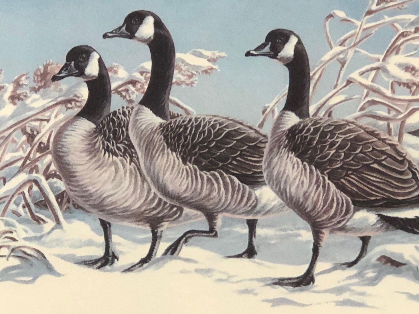 Vintage Lithograph of Three Geese Walking in the Snow, Brown Framed Signed - 3