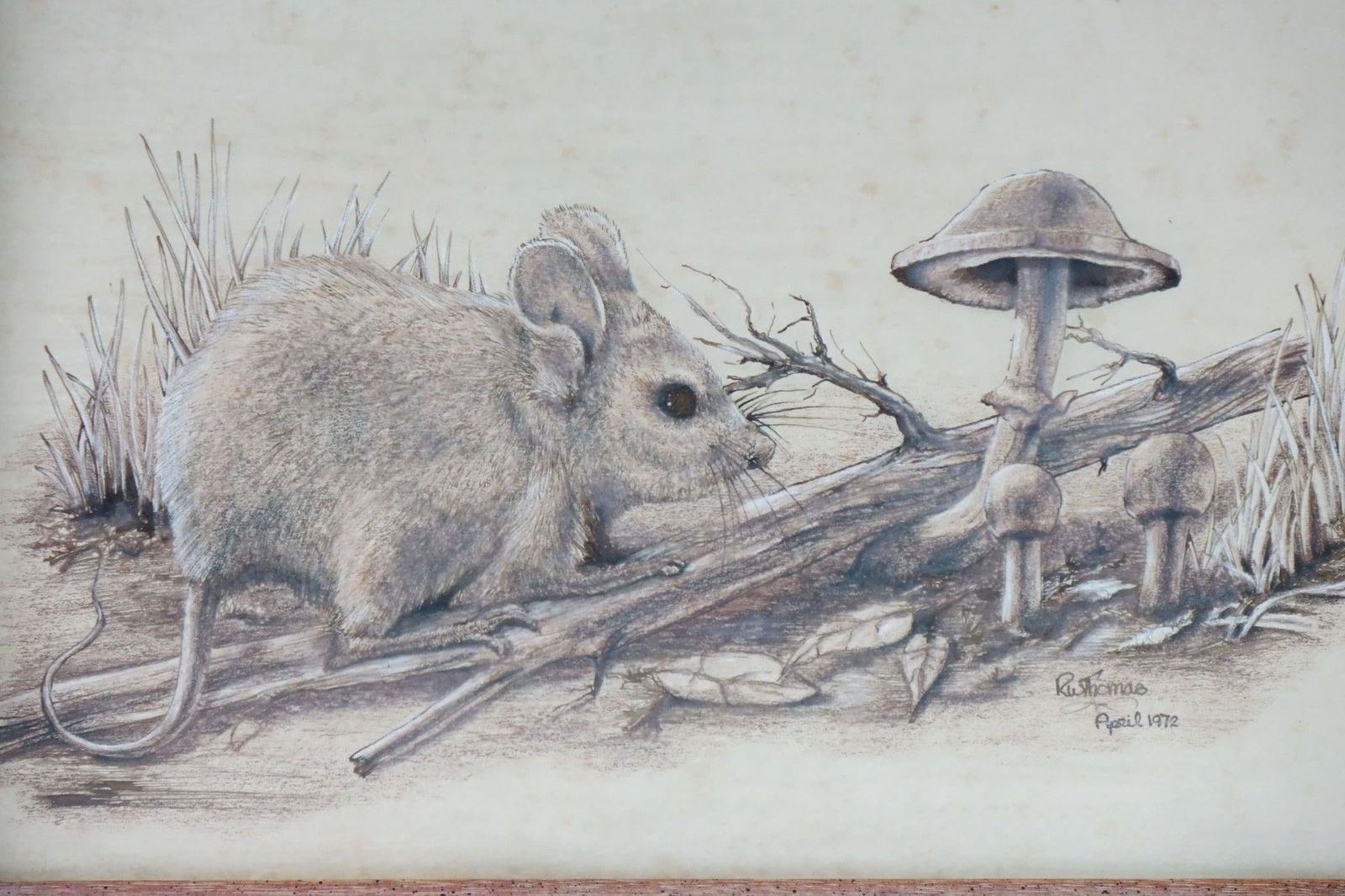 Late 20th Century The Mouse the Mushroom Original Pencil Drawling Signed, Framed - 4