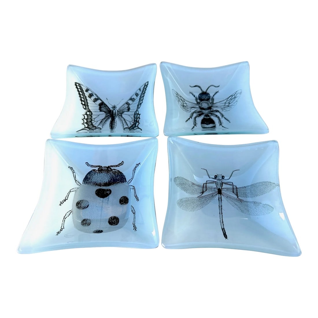 Set of 4 Glass Catchall Dishes: Super cute set of 4 glass catchall dishes with different insects printed on them. Great on a nightstand for earrings or rings etc. 5 x5 x 1.5in Make sure to follow me, I have flash sales for my follow