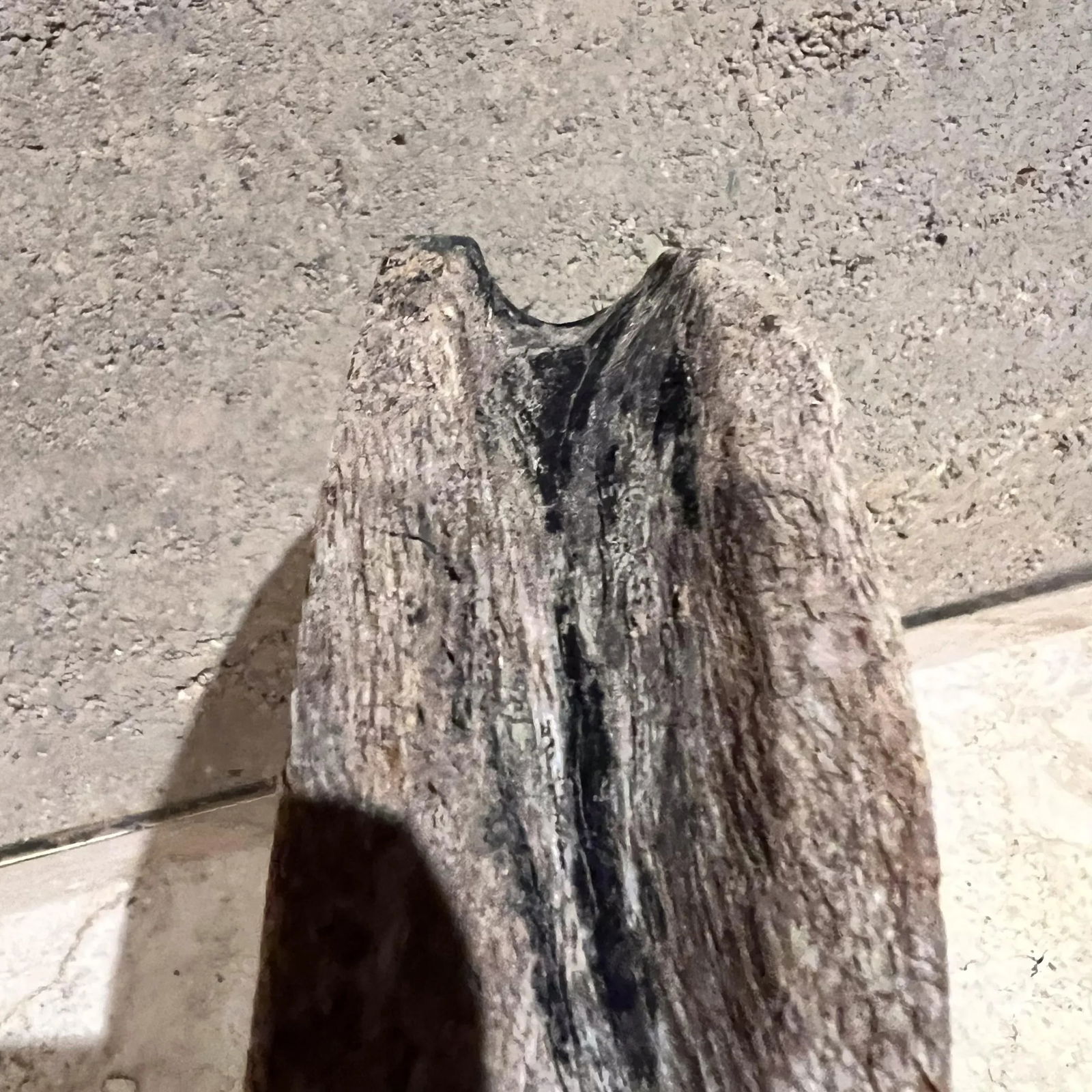 French Vintage Mesquite Wood Circle Disc Pulley - 7