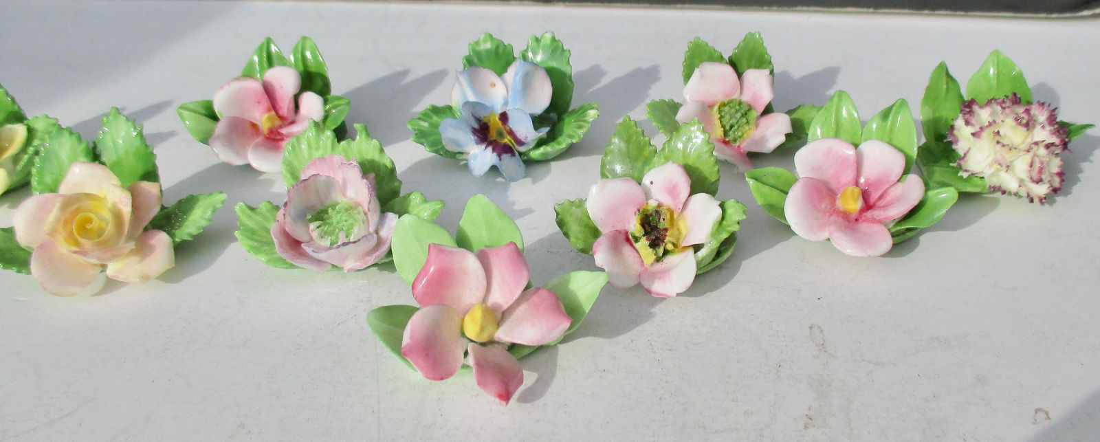 Placard Holders by Royal Adderley- Set of 10 - 2