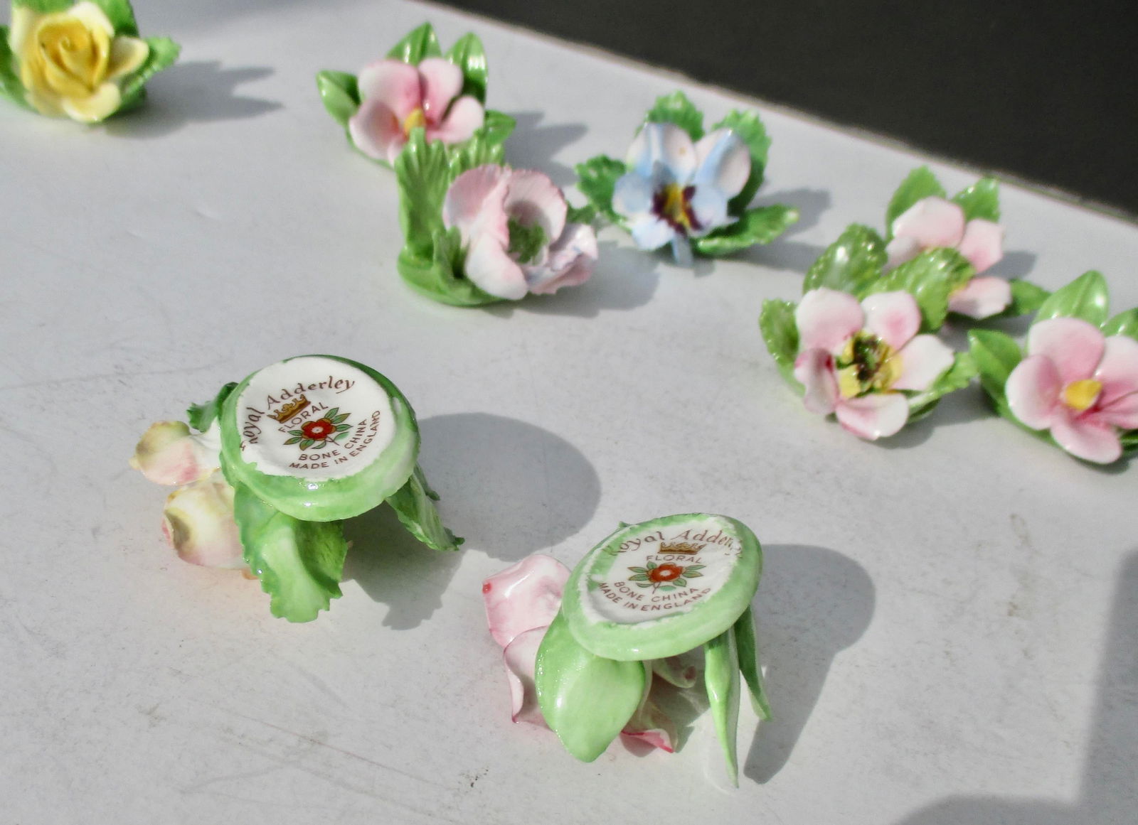 Placard Holders by Royal Adderley- Set of 10 - 3