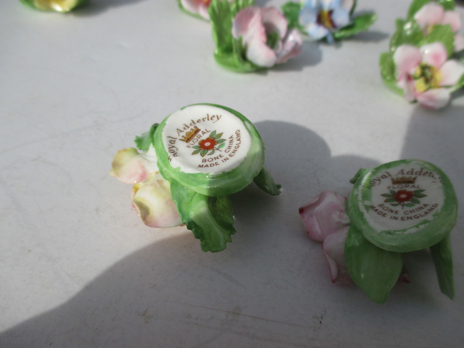 Placard Holders by Royal Adderley- Set of 10 - 4