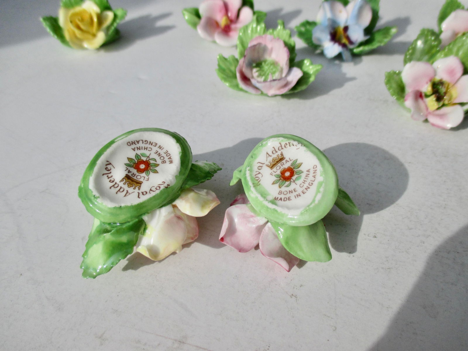 Placard Holders by Royal Adderley- Set of 10 - 5