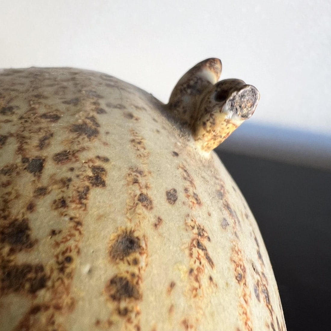 1960s Studio Art Pottery Stoneware Elephant and Tiny Bird - 12