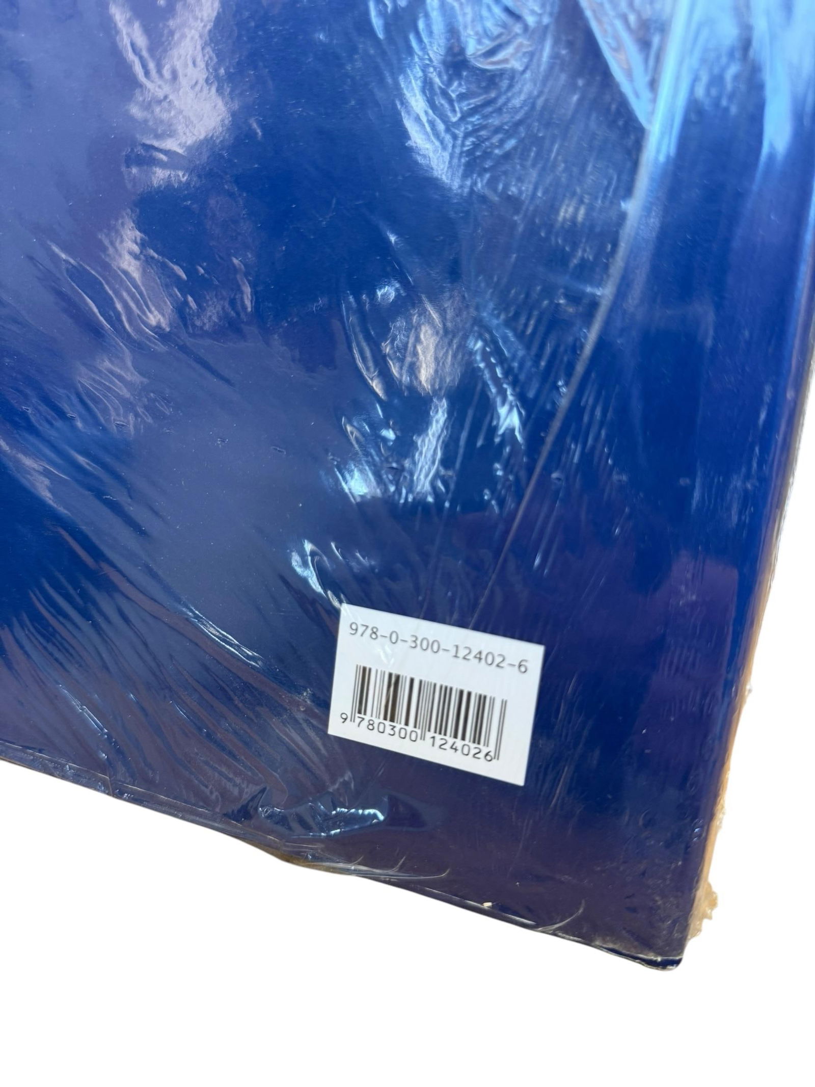 2009 Masterpieces of Impressionism & Post-Impressionism: The Annenberg Collection the Metropolitan M - 2