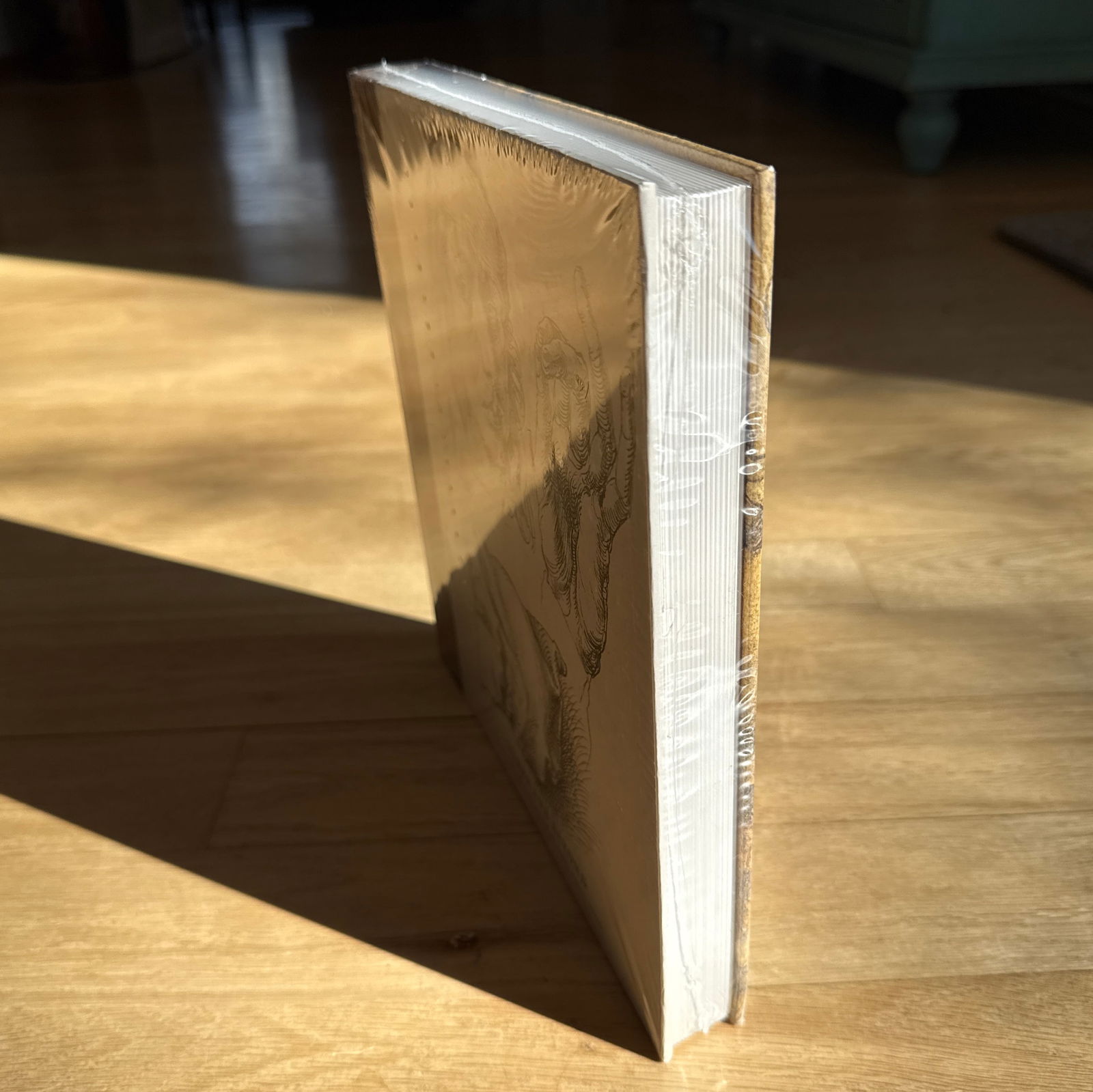 Art Book Coffee Table Unopened Hardcover Durer and Beyond Central European Drawings 1400-1700 - 6