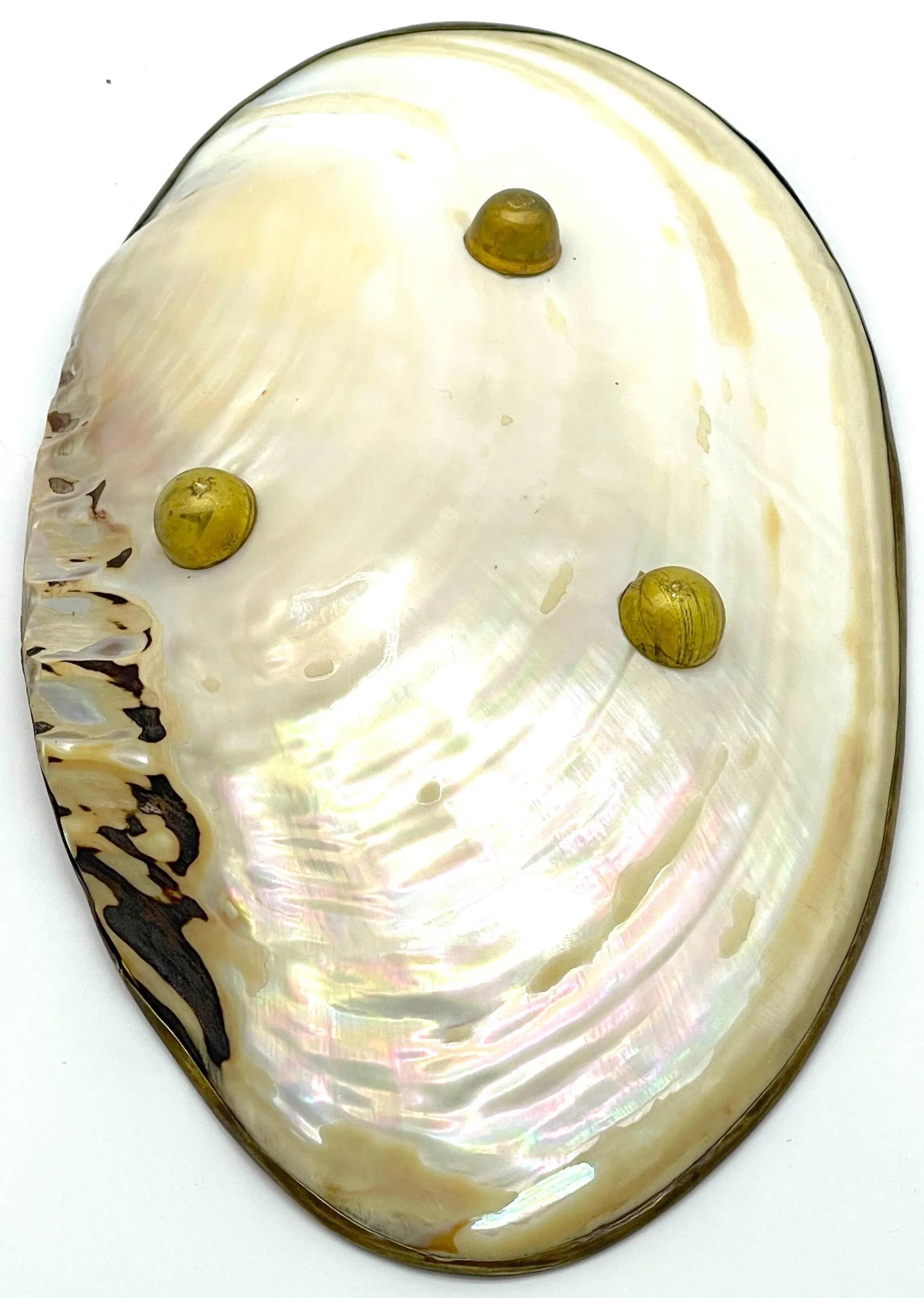 Napoleon III Ormolu Mounted Footed Shell Dish/ Vide-Poche - 3