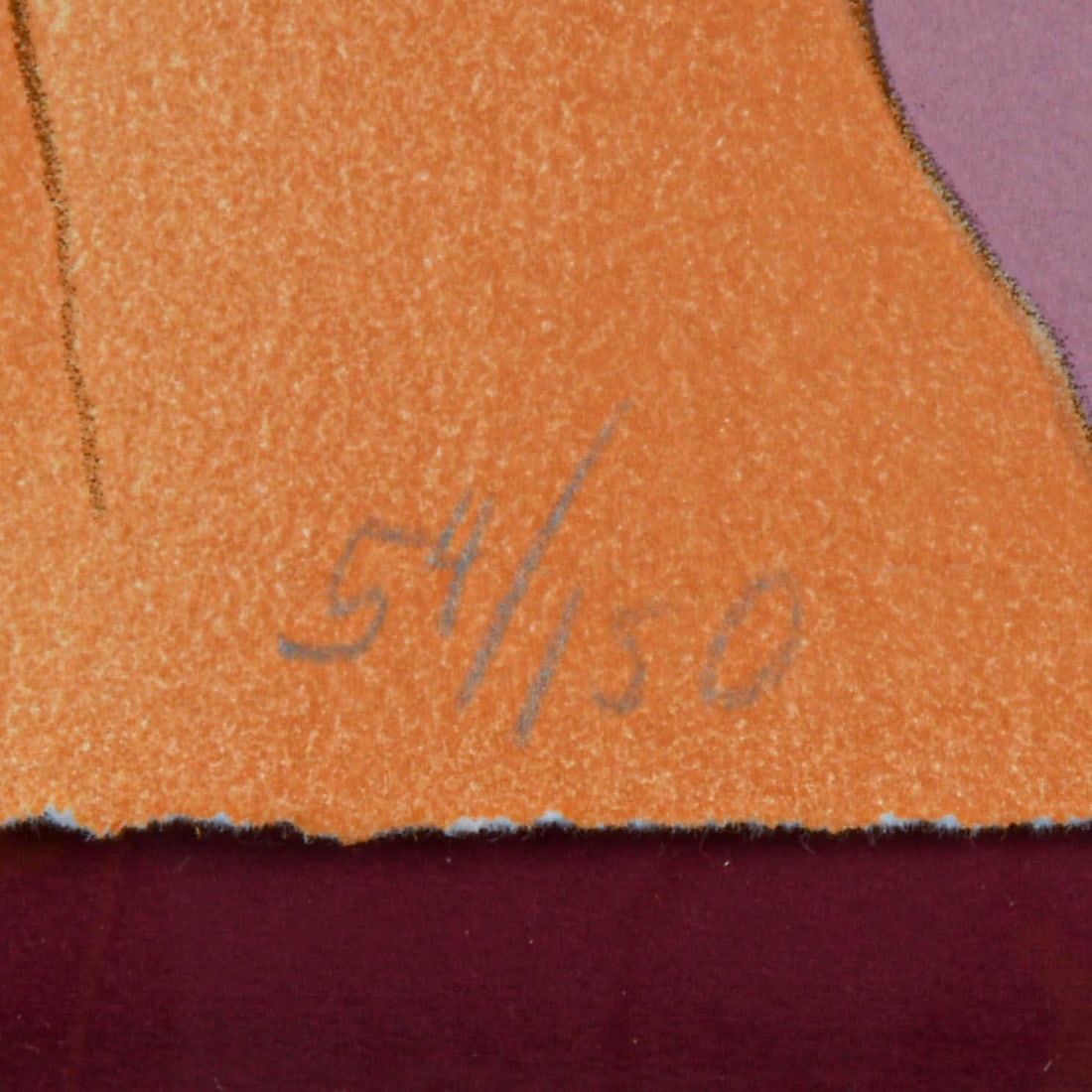 Framed Signed R C Gorman Limited-Edition 54/150 Lithograph "Tulip Tree" - 5