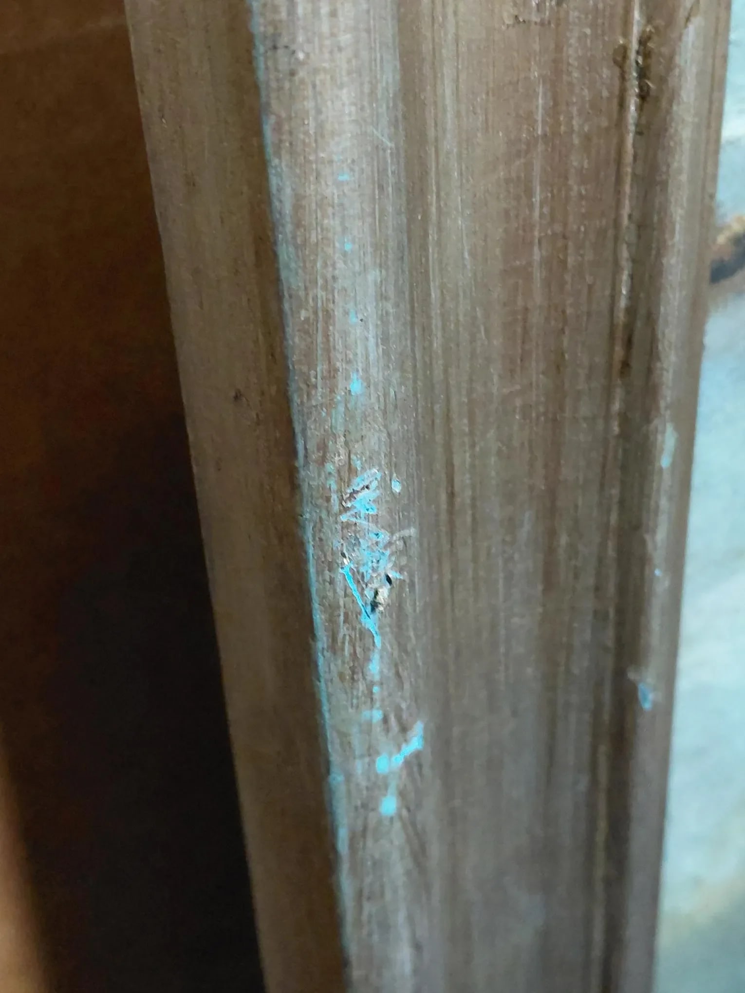 Framed "Seaside Gazing" Oil on Canvas - 11