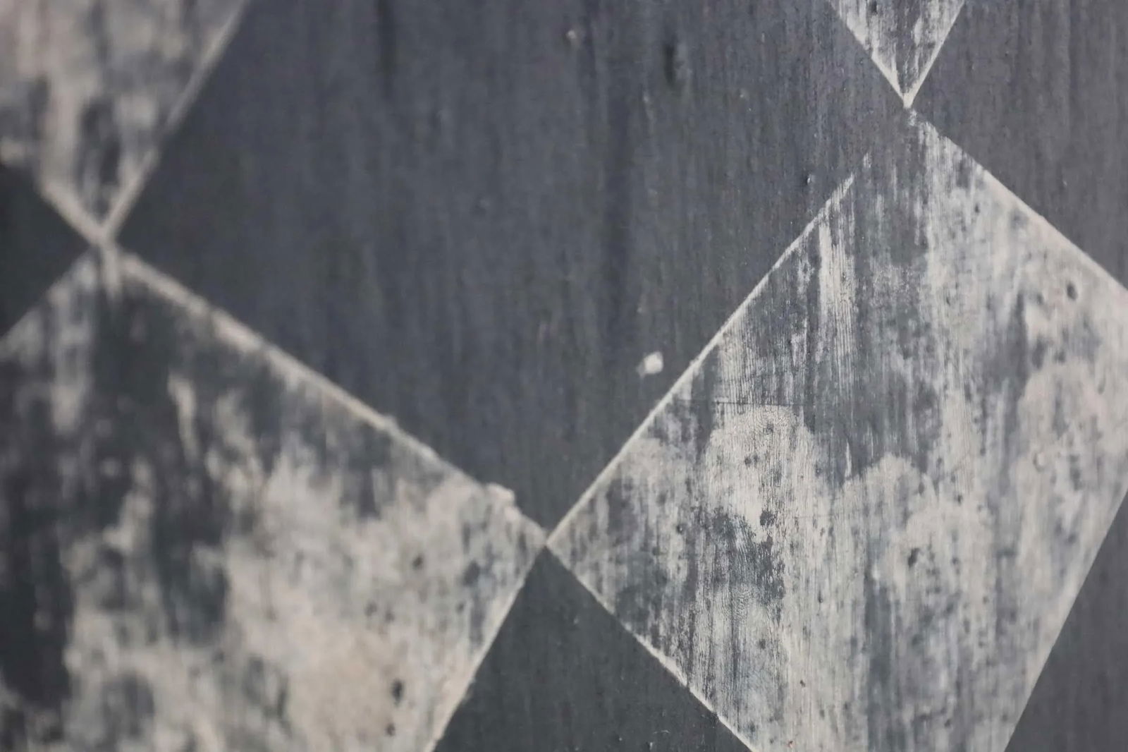 Pair of Sean Scherer Oil and Wax Paintings on Canvas, 1991 - 5