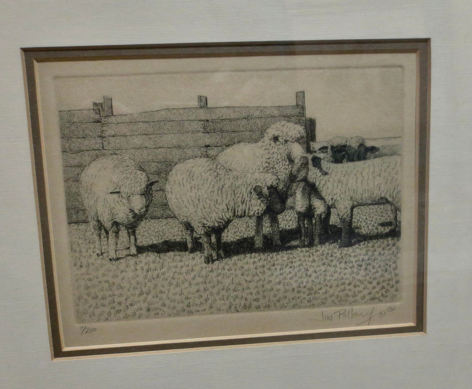 Sheep Etching by Jim Pollard Dated 81 - 2