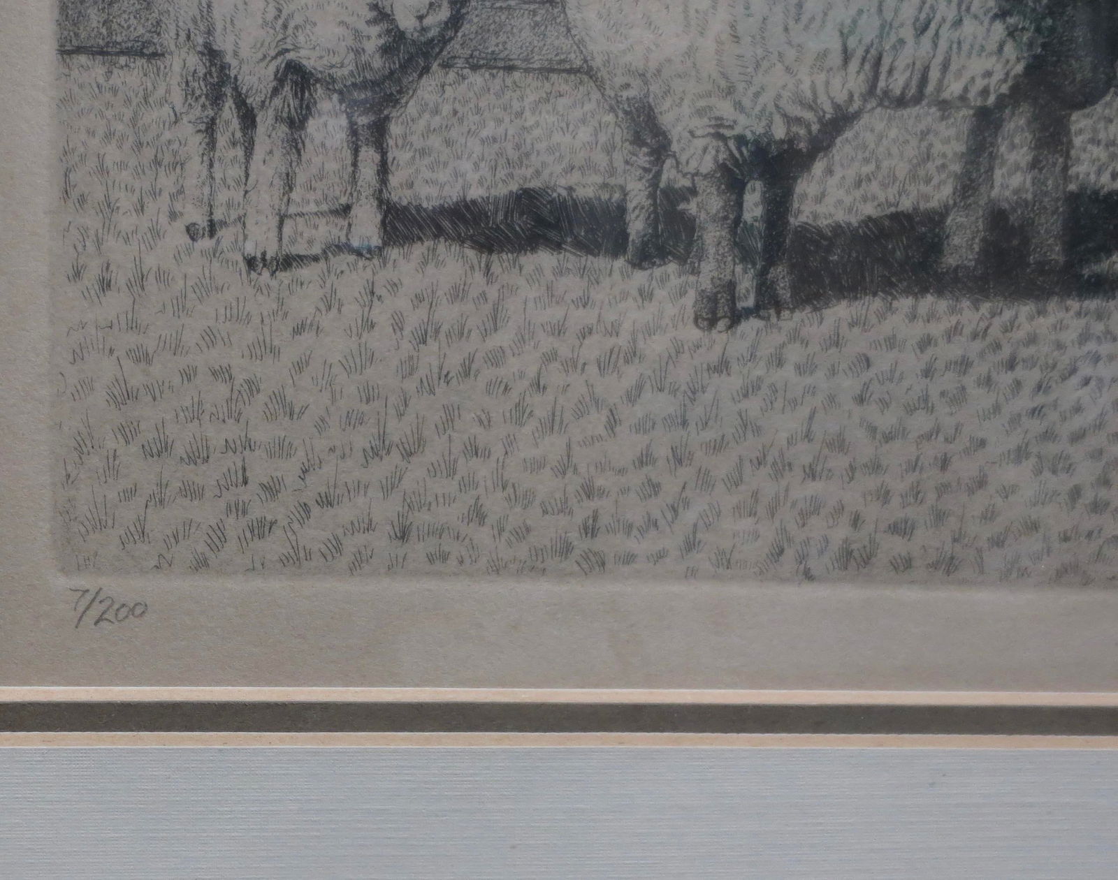 Sheep Etching by Jim Pollard Dated 81 - 4