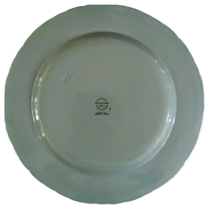 Wedgwood Dinner Plates Cream on Celadon Shell Edge - Set of 4 - 3