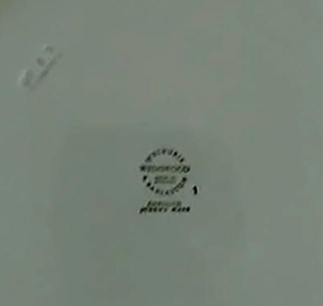 Wedgwood Dinner Plates Cream on Celadon Shell Edge - Set of 4 - 4