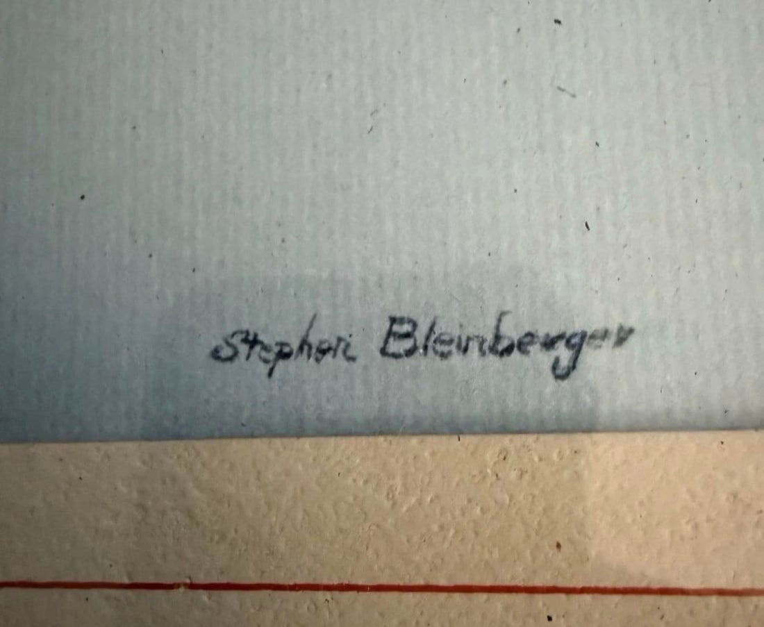 1970s Stephen Bleinberger Vintage Framed Print Signed Framed - 4