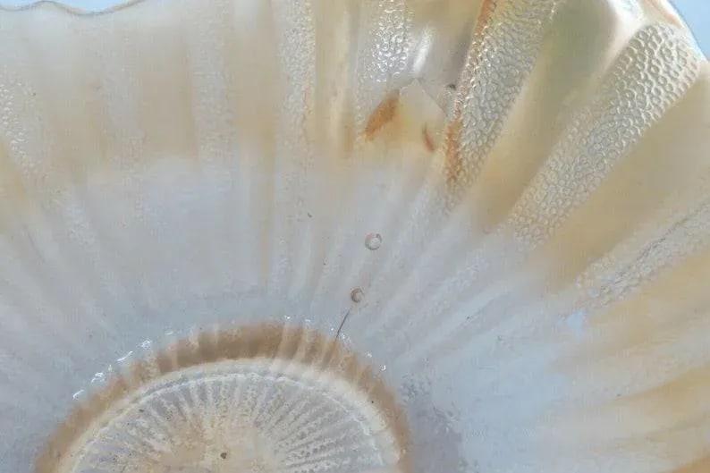 Fenton Stippled Rays Style Marigold Carnival Glass Bonbon Dish Two Handles - 7