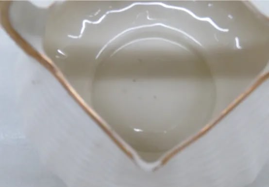 Royal Worchester 1884 Porcelain White and Gold Woven Basket Vase - 11