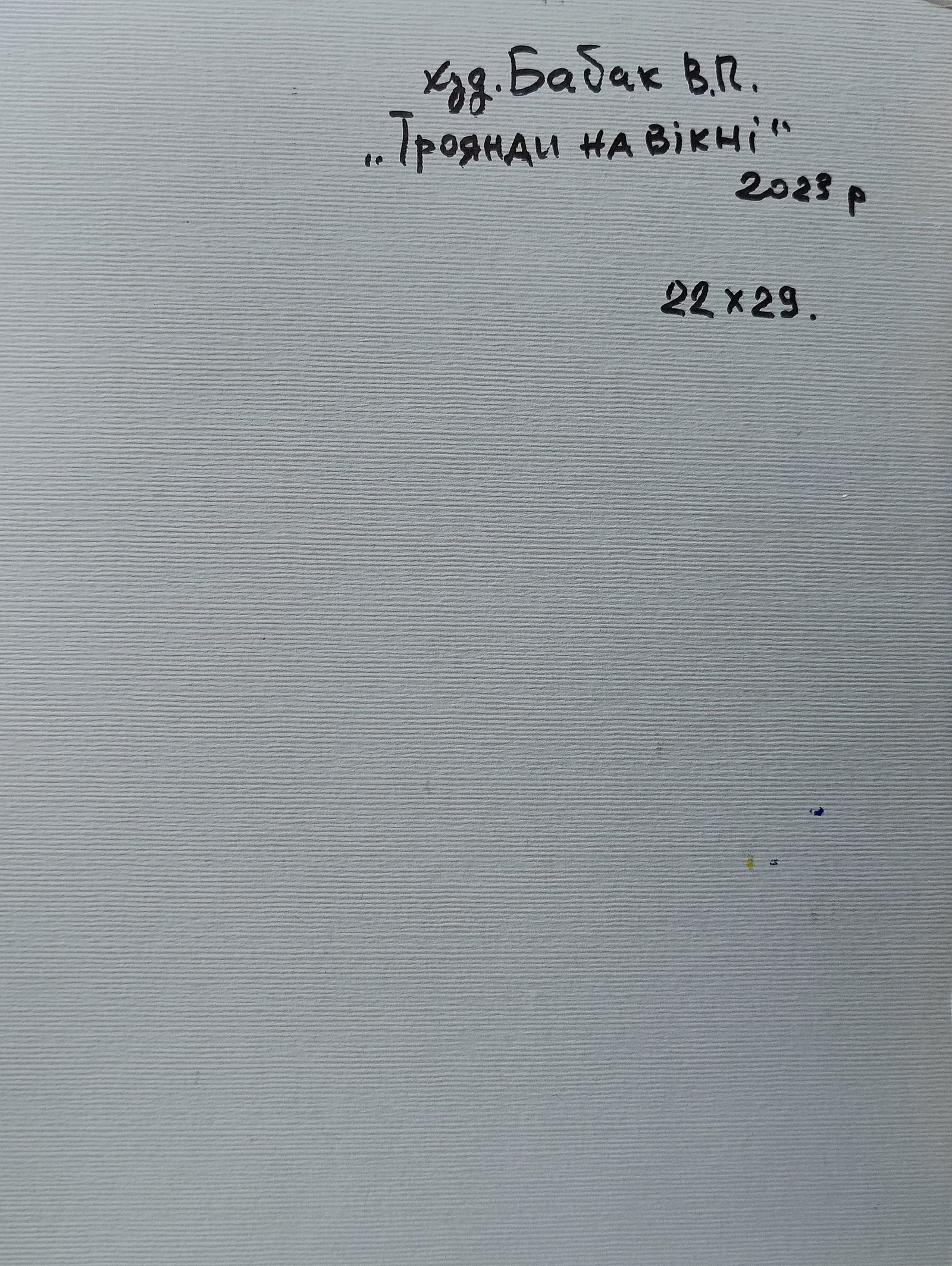 Oil painting roses on the window Vyacheslav Petrovich Babac - 2