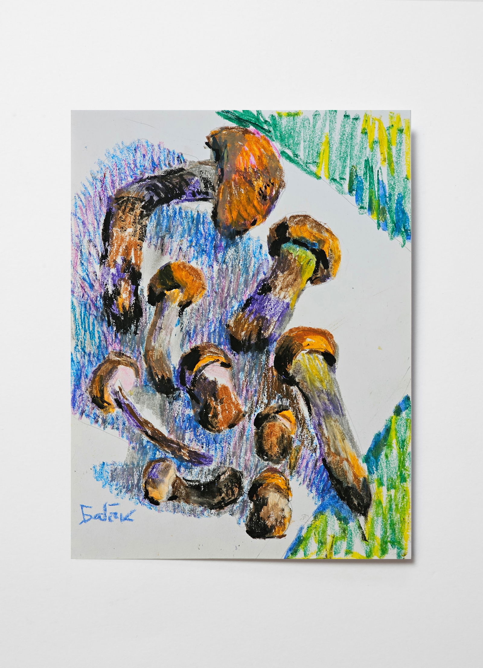 Acrylic painting mushrooms Leccinum aurantiacum Vyacheslav Petrovich Babac - 10