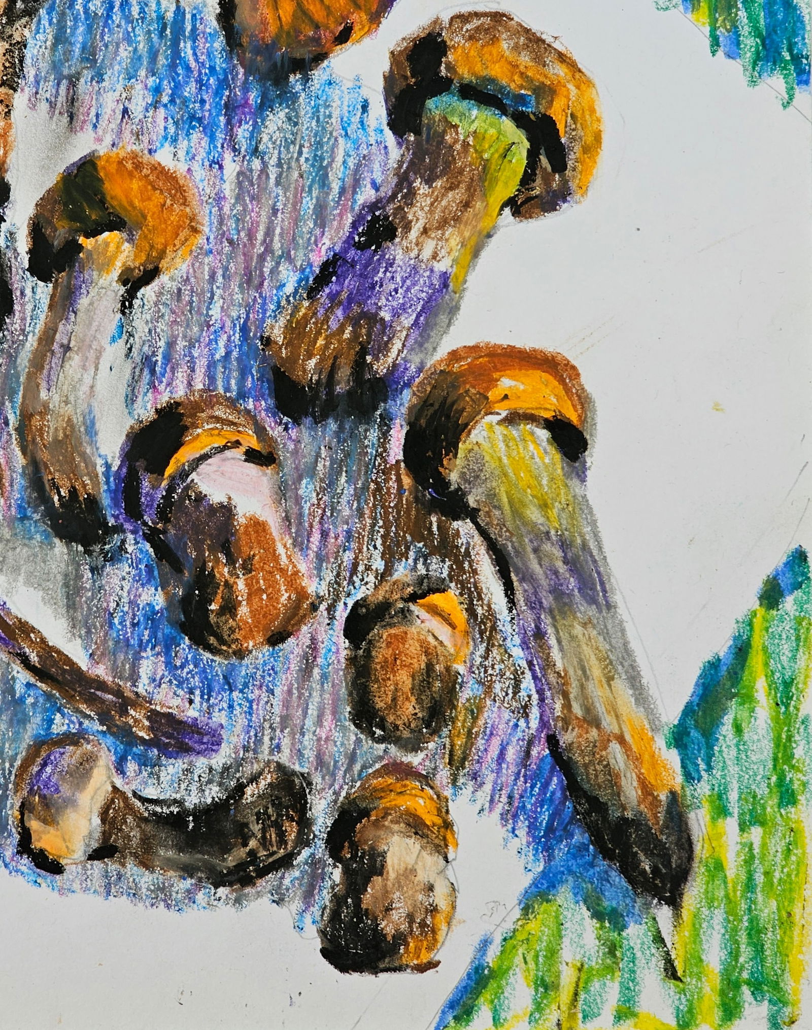 Acrylic painting mushrooms Leccinum aurantiacum Vyacheslav Petrovich Babac - 6