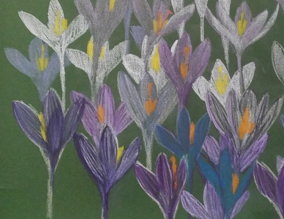 Oil painting Crocuses Nina L - 4