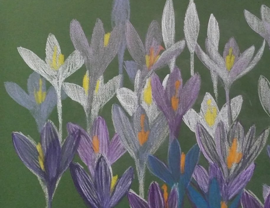 Oil painting Crocuses Nina L - 7
