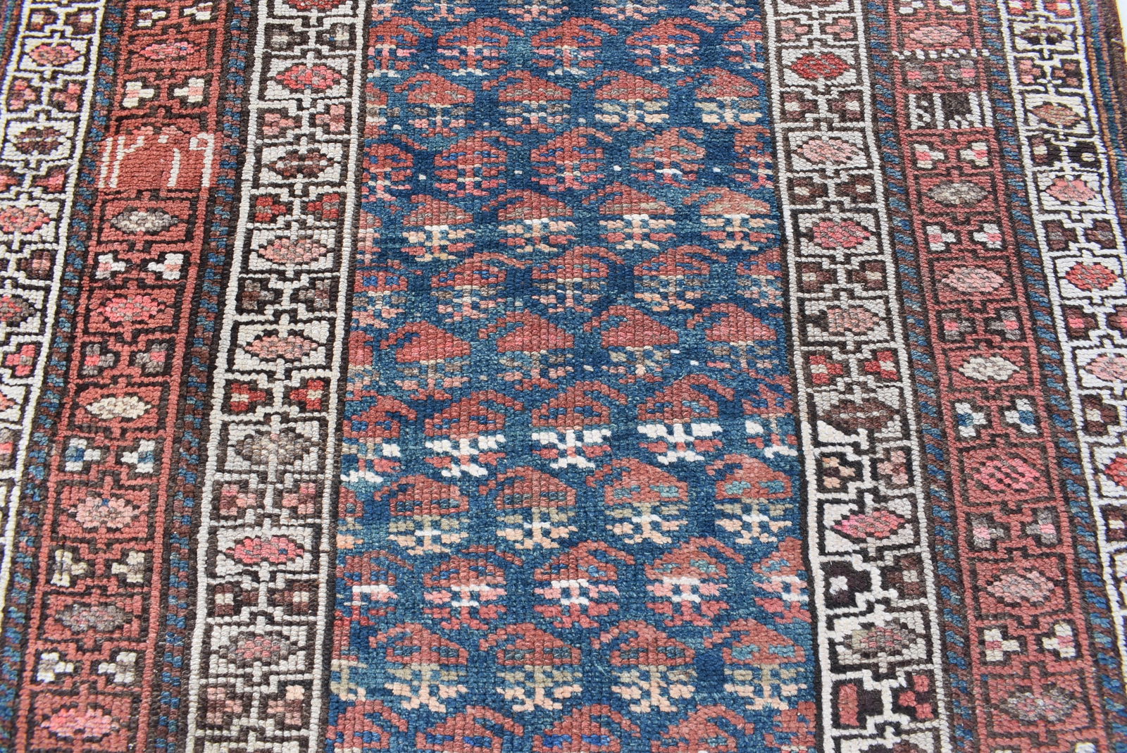 11063 CAUCASIAN SHIRVAN CARPET: 1.54 × 1.00 m (1.54 m²) - 3