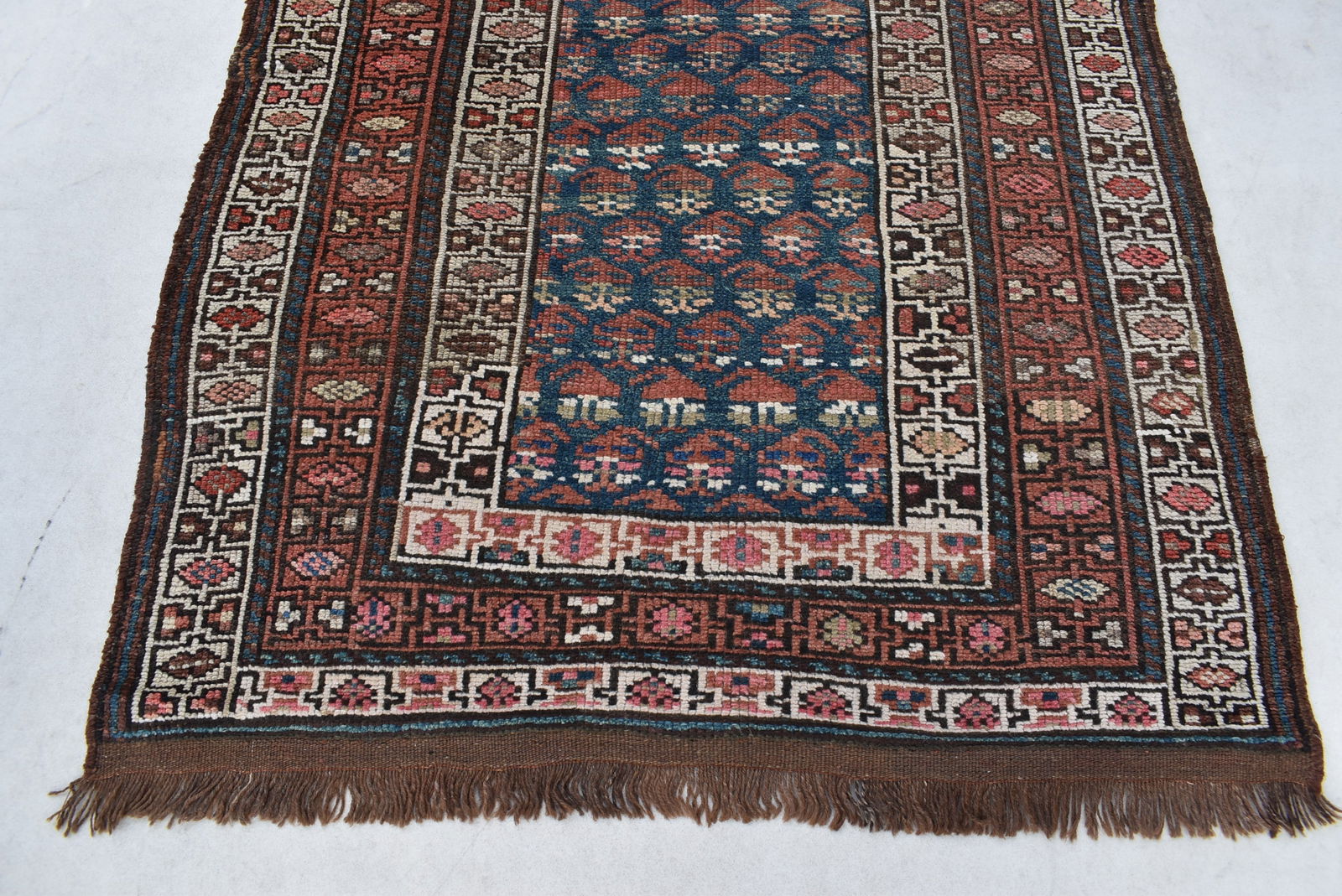 11063 CAUCASIAN SHIRVAN CARPET: 1.54 × 1.00 m (1.54 m²) - 6