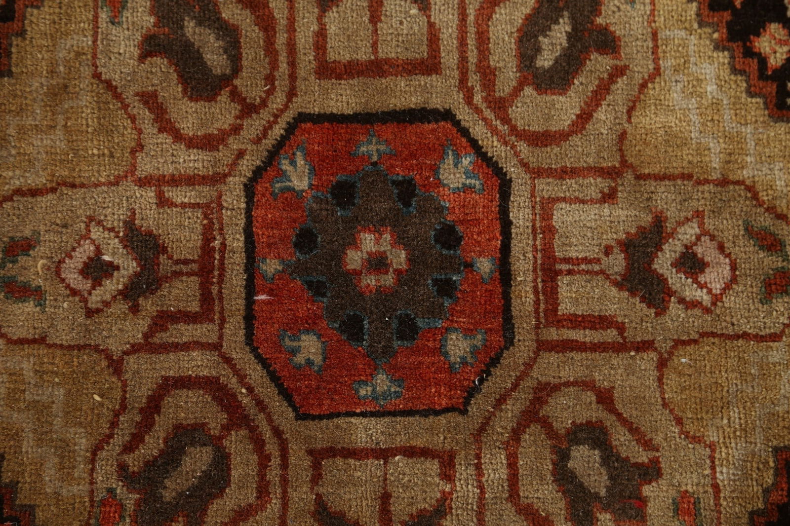 Antique Vegetable Dye Tabriz Haj Jalili Persian Rug 14x20 - 9