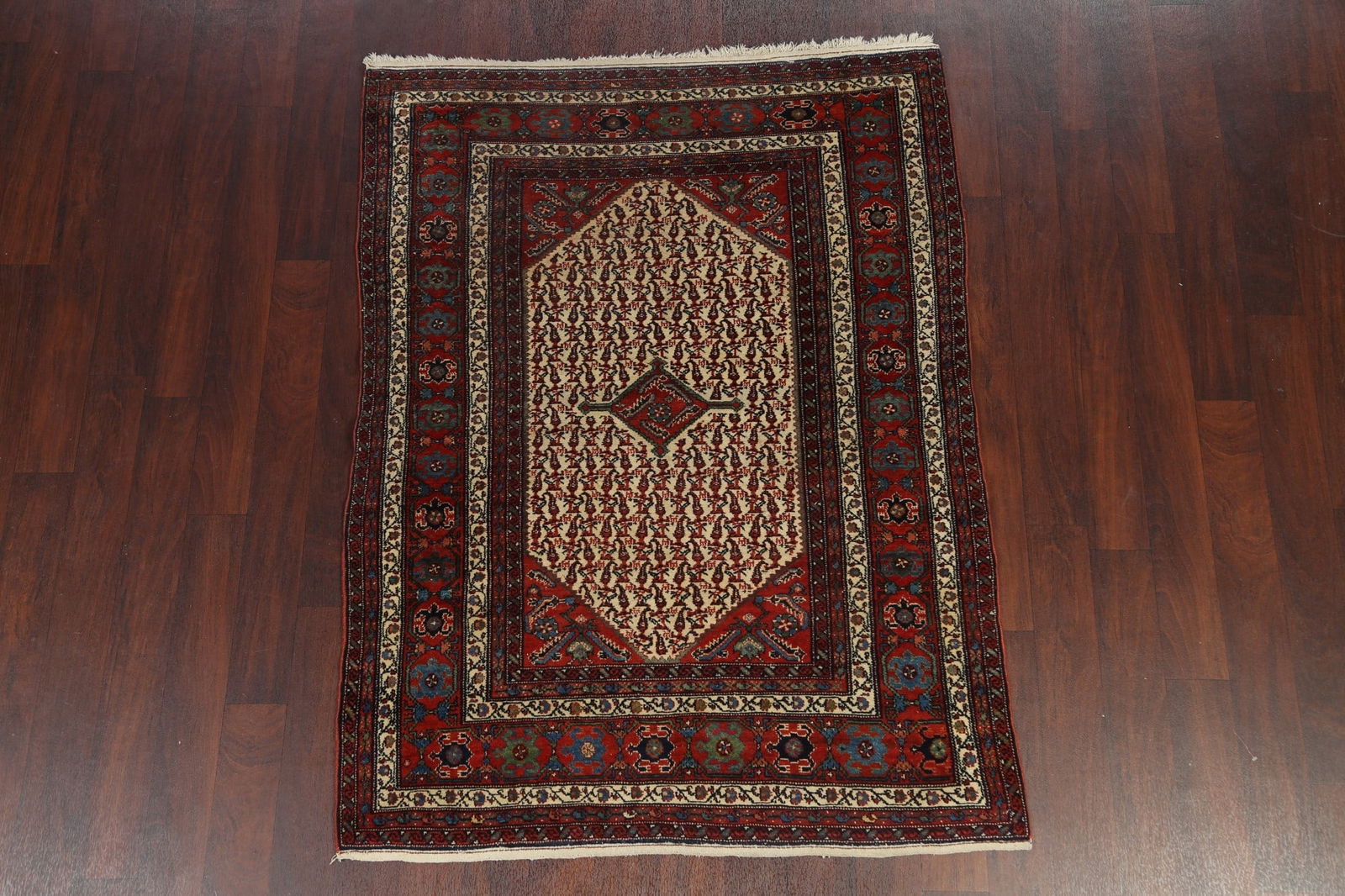 Antique Vegetable Dye Senneh Persian Rug 4x6 - 2