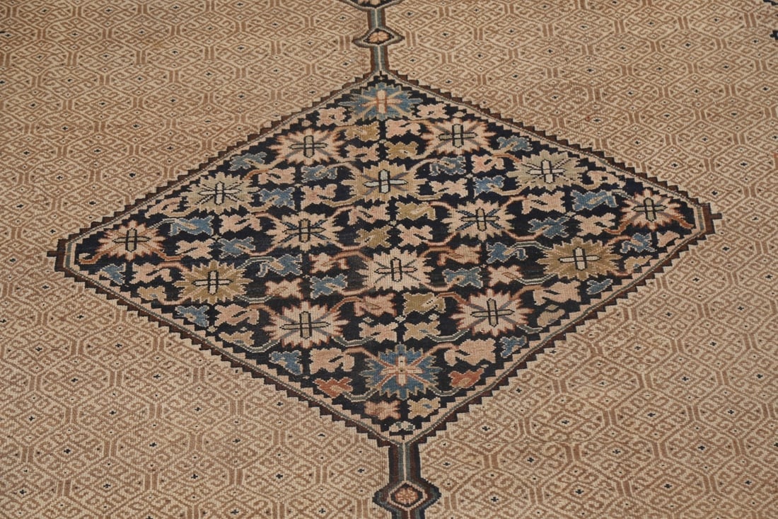 Pre-1900 Antique Vegetable Dye Bibikabad Persian Rug 10x16 - 5