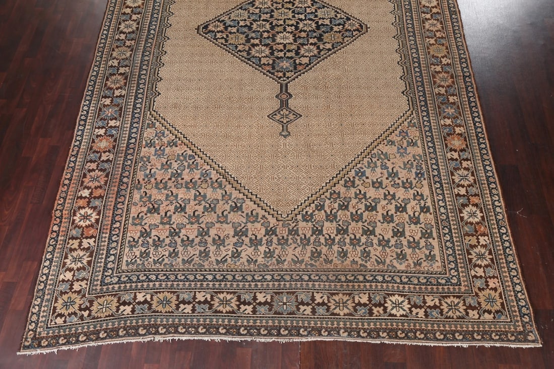 Pre-1900 Antique Vegetable Dye Bibikabad Persian Rug 10x16 - 6