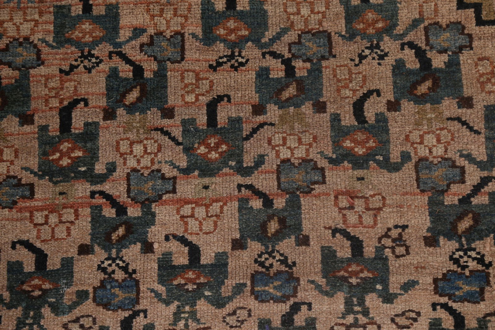 Pre-1900 Antique Vegetable Dye Bibikabad Persian Rug 10x16 - 9