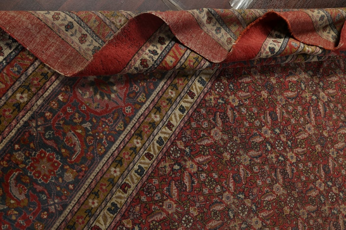 Antique Vegetable Dye Sultanabad Persian Rug 13x20 - 18